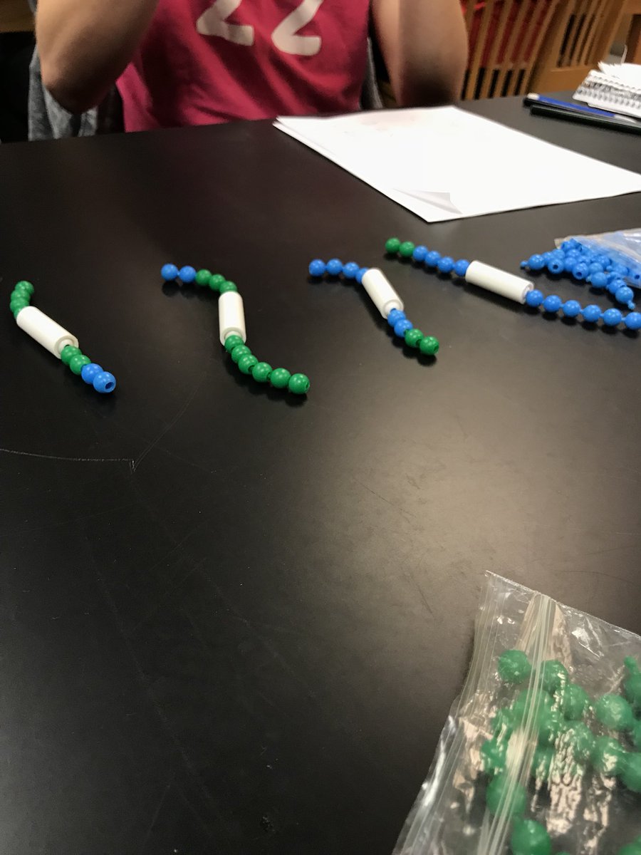 MummConnor's tweet photo. @UNKBiol106CW #106F17week11 demonstrating crossing over during meiosis https://t.co/gRMV63G1qN