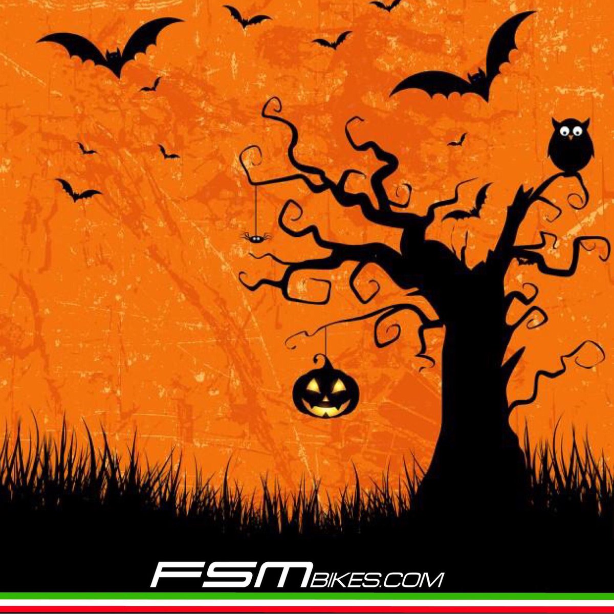 Happy Halloween ride 🚴🏽🚴‍♀️🎃🔥😈. #fsmconceptbikestore #fsmbikes #cycling #cyclinglife #halloween #trickortreat