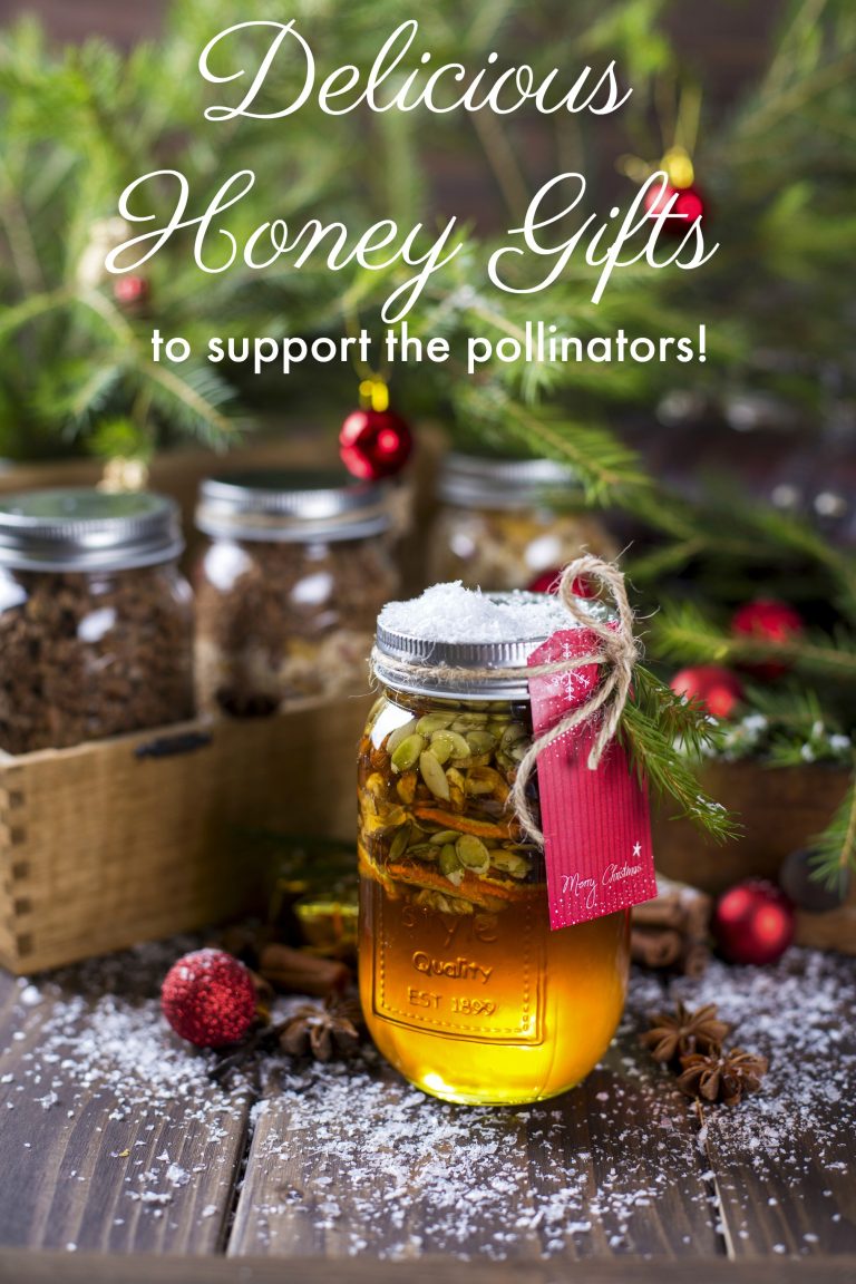 turningclockbac's tweet photo. Delicious honey #gifts that help support the pollinators! #ecofriendly #shopping   https://t.co/kQ1n6JtxLP https://t.co/df2mXtL776