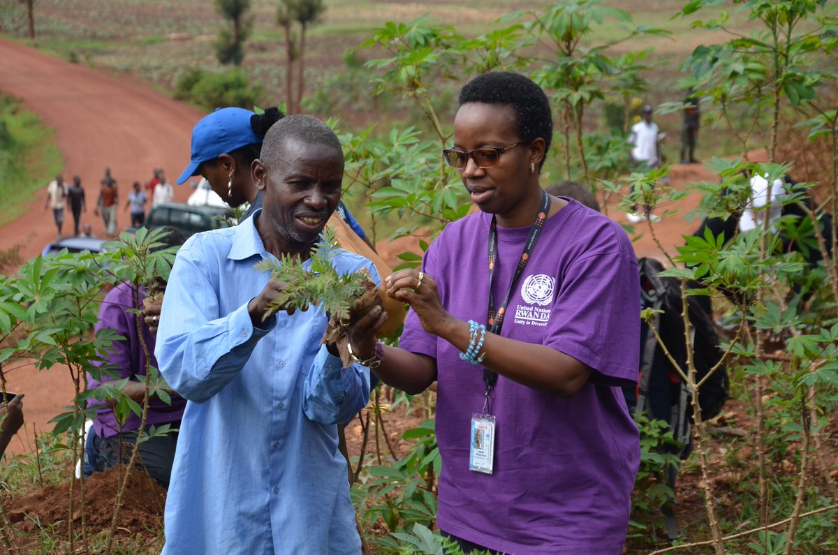 UNRwanda's tweet image. October 24th was #UNDay2017. Click to read about the activities held to mark the date in #Rwanda #UNWeek bit.ly/2gQnk1W