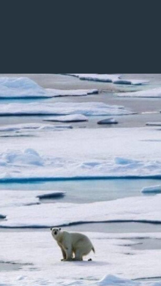 Isabelle Mergault tweet media