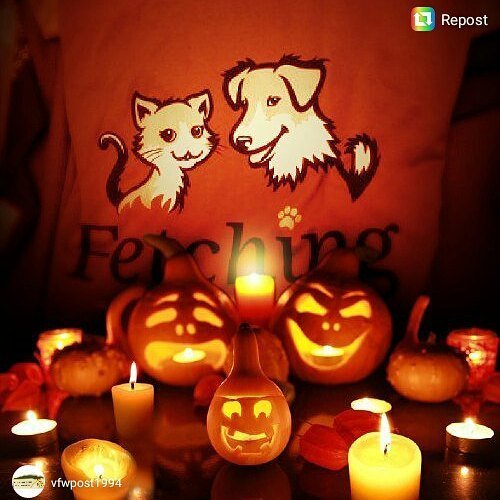 VFWPost1994's tweet photo. No tricks they'll just treat you right #fetchingapparel https://t.co/TllZjCno65 https://t.co/hlhBPdbp7M