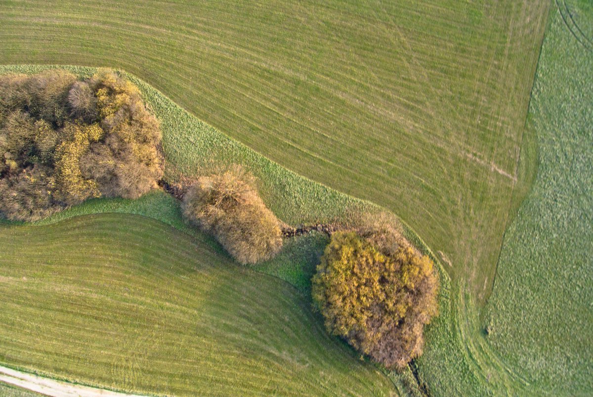 Waiting for the flood. #Planina #karst field, #Slovenia

More: instagram.com/kap_jasa
.
.
#kiteaerialphotography #patterns #planinskopolje