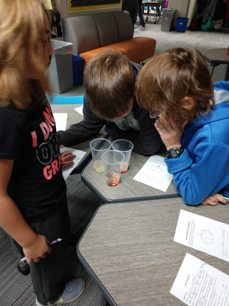 dani_rypka's tweet photo. My little scientists digging in and getting messy in the name of learning @StemMcKinley @McKinley4th  #mckinleystrong https://t.co/Rq3RdYaMeK