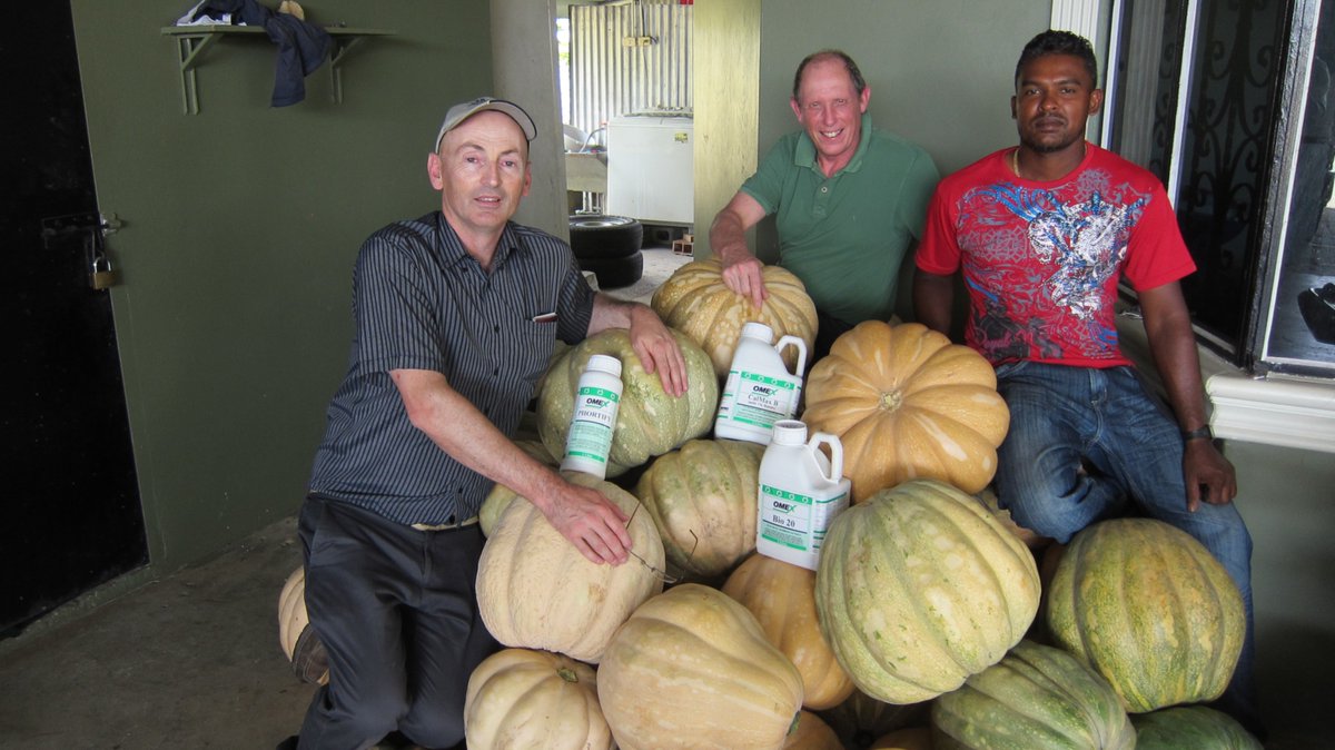 OMEXAgriculture's tweet photo. Grow your monster pumpkins with @OmexCompanies #Bio20 #pHortify #CalmaxB https://t.co/YZ1hNfEuRV