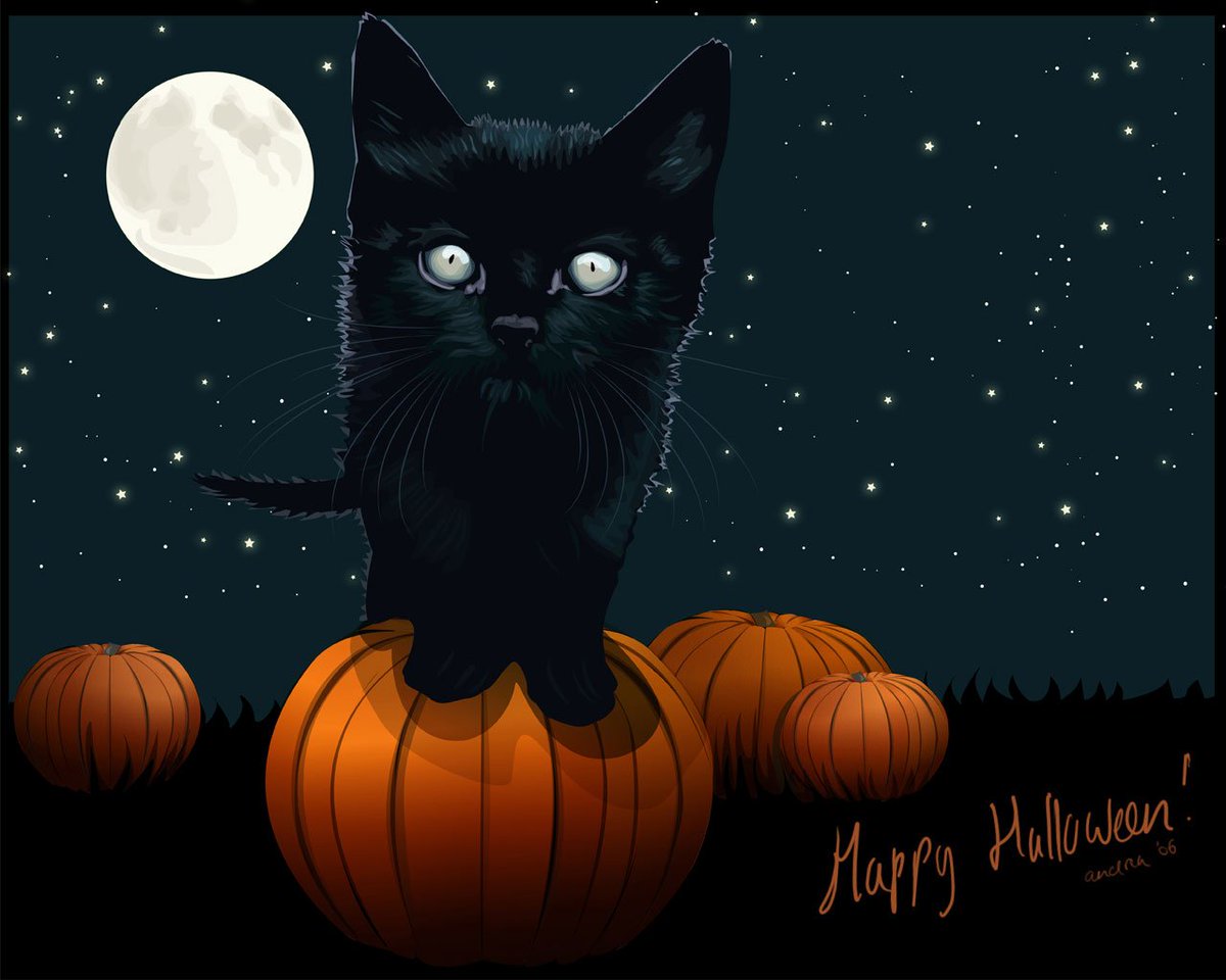 JBensonWriter's tweet photo. Happy #Halloween!  https://t.co/cyHNHZoTLx https://t.co/3upND7PpDN