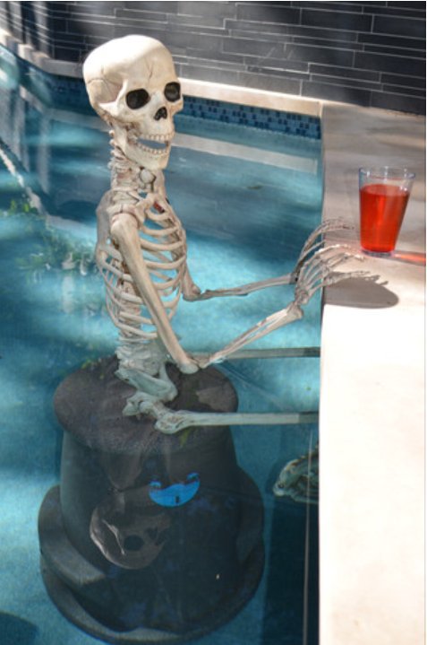 DAPoolsandSpas's tweet photo. #HappyHalloween https://t.co/rdNNNs2gSJ