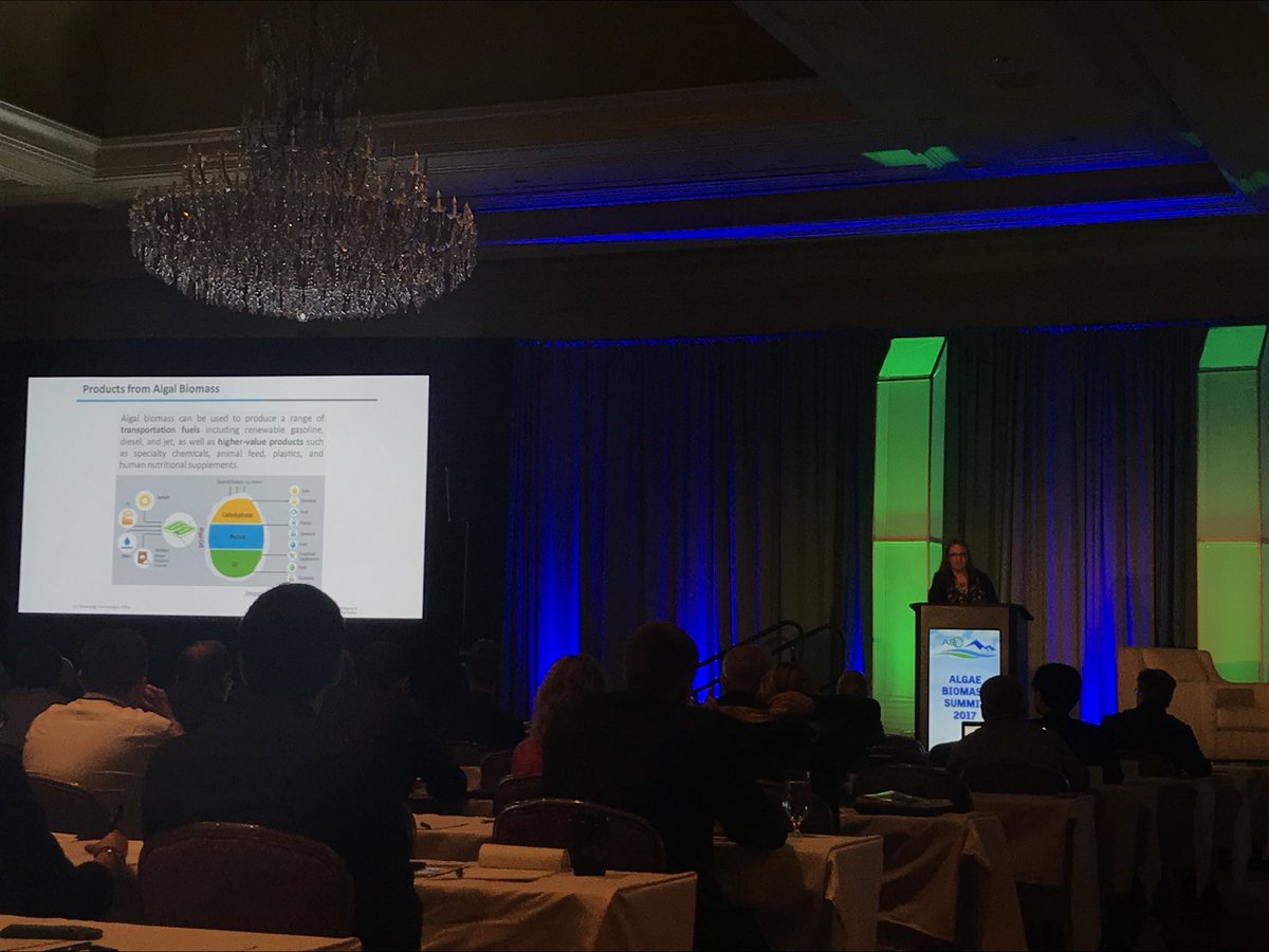 LieveLaurens's tweet photo. Day 2, how algae can support the goals of @ENERGY #Algae2017 https://t.co/4t3jlRhYTi