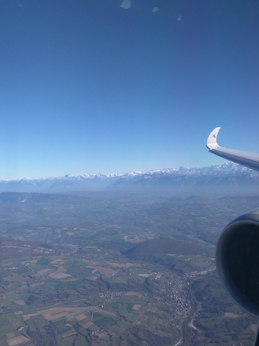 Alsammon tweet media