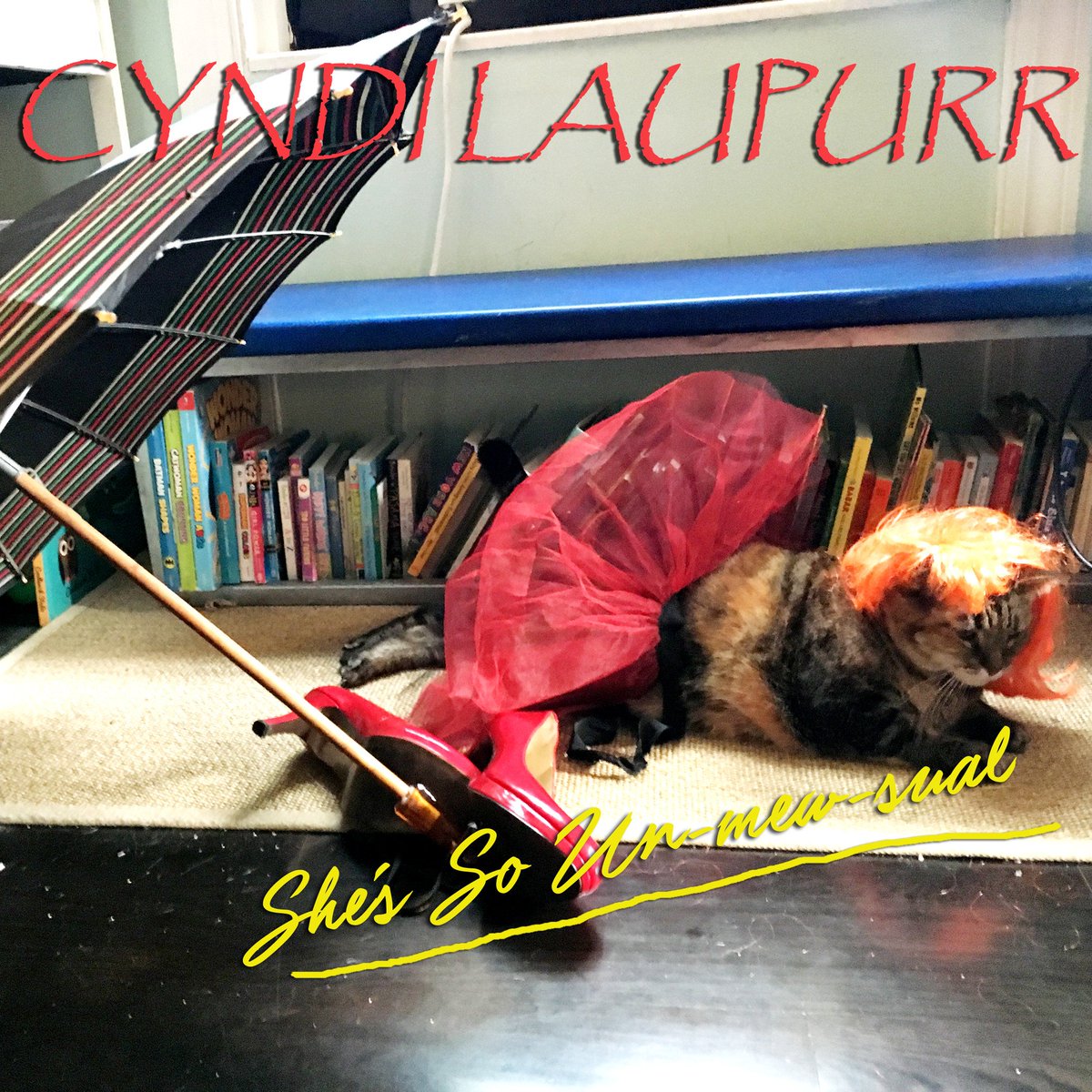 WigWurq's tweet photo. #HappyHalloween from WigWurq masCAT, Sheila! #CyndiLauper #CyndiLaupurr #ShesSoUnMEWsual #Wurqs https://t.co/MFg7NNOJ9j