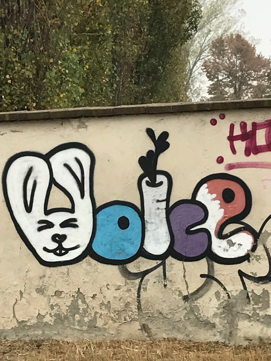 giusicolla's tweet photo. VOICE writer in Turin ✍️ #StreetArt #sblab17 #stories #storiebrevi https://t.co/bCOF9MjlPL