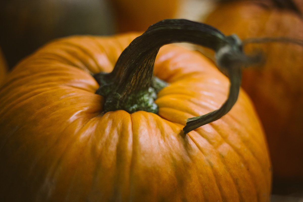 istapods's tweet photo. Do you have that Halloween feeling?  #Halloween2017 
#istapods https://t.co/iqwDenSd9r