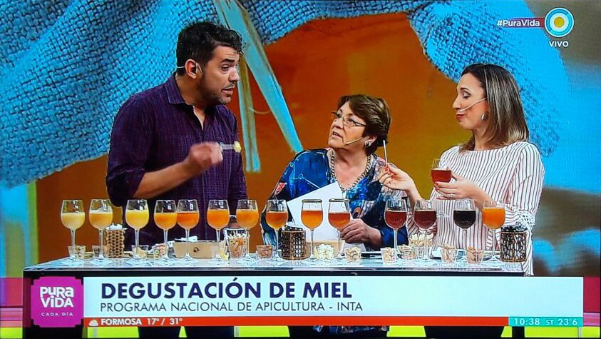 INTAInforma's tweet photo. #INTAenLosMedios Laura Gurini del Programa de Apicultura del INTA habla sobre las distintas variedades de miel en @PuraVidaTele @TV_Publica https://t.co/3O5eu158oT