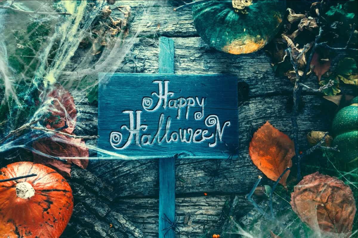 Happy Halloween! Don't get spooked by the thought of taking control of your online presence. Call us today &amp; see what we can do for you!