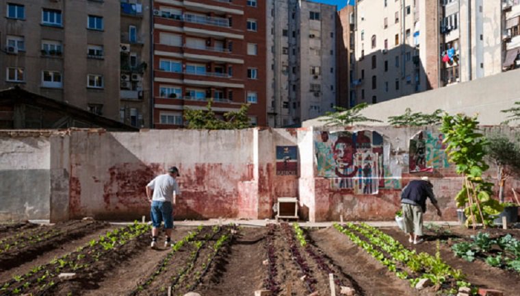 BCN_EspaiPublic's tweet photo. Demà s'inaugura un nou #horturbà per a joves amb autisme, dins del programa #PlaBuits https://t.co/vmDgkpaxao https://t.co/wpEz9rHET3