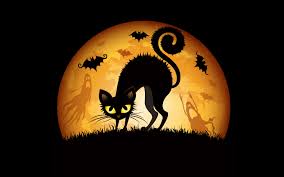 MiamiLuken's tweet photo. Happy Halloween! Sign idea: "Our employees are scaredy cats, please remove your masks before coming in!" https://t.co/3kKsJAA9ty