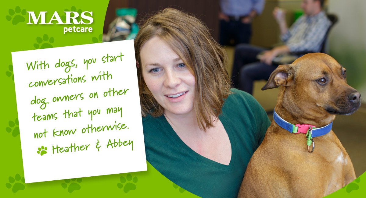 MarsPetcareUS's tweet photo. Why do #PetsWorkAtWork? Our Associate Heather says they're a great conversation starter with coworkers. #PawsitivelyMars https://t.co/bXQ1IXg9Zu