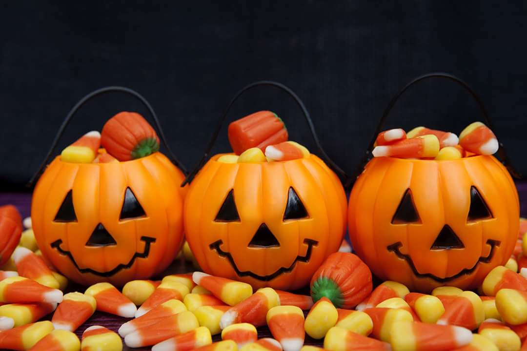 QTavern's tweet photo. #HappyHalloween2017 https://t.co/Jwyqhwx3te