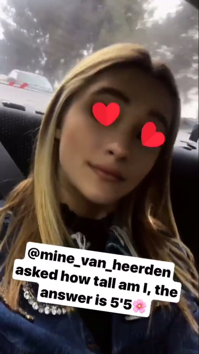 lizgreenequeen's tweet photo. https://t.co/ra2duOq2jv