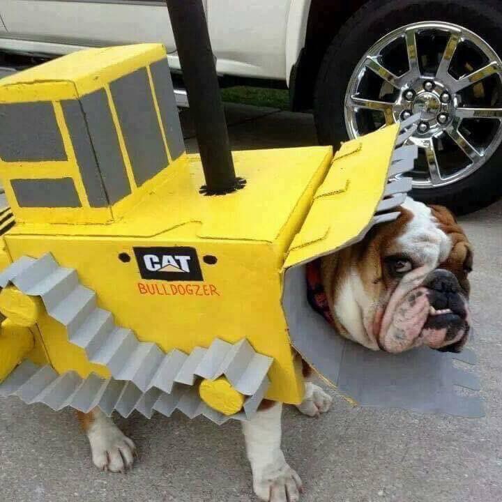 MAULDIN Paving Prod. on Twitter "Happy Halloween from all of us at Mauldin Paving Products! 