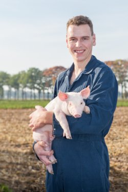 ABWerkt's tweet photo. Hoe is het om te werken in de varkenshouderij? Interview met Maikel Geurts die via AB Werkt is gedetacheerd https://t.co/o5RS2WriiA #varkenshouderij https://t.co/GMu6sM4fLv