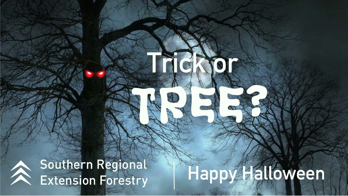 soforext's tweet photo. #HappyHalloween2017 #TrickorTree https://t.co/Km2QMxz3oD