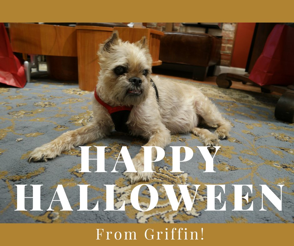DashsofOldTown's tweet photo. Wishing our friends and neighbors a safe and happy #halloween 🎃 https://t.co/aJDpBYGPML