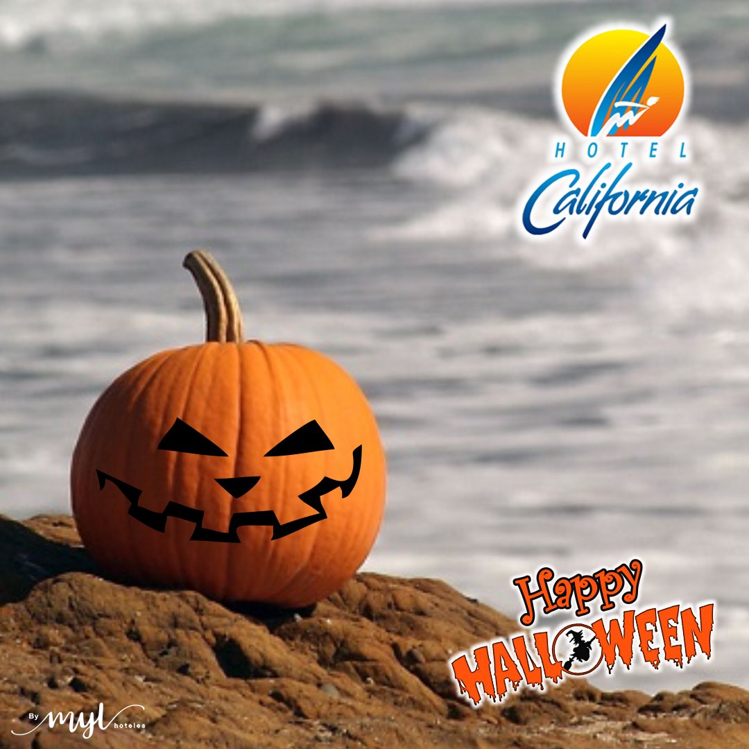 HCaliforniaVe's tweet photo. ¡Happy Halloween! 🎃🕸 Les desea #HotelCalifornia.
#HotelCalifornia #PlayaElYaque #Surf #IslaDeMargarita
#Caribe #Venezuela #Halloween2017 https://t.co/ZLu7TUGk8E