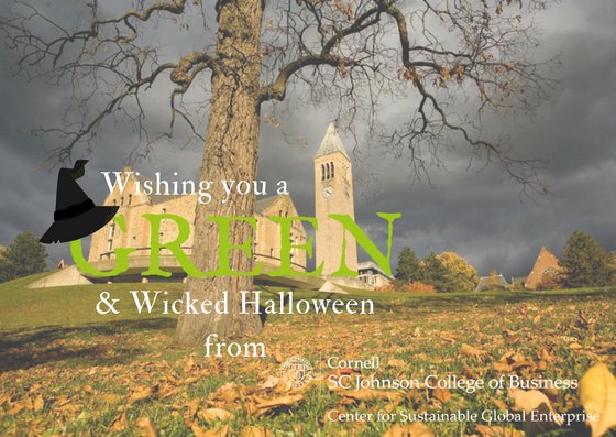 CornellSGE's tweet photo. Have a fun, safe, wicked, and most importantly Green Halloween with these tips for sustainable festivities https://t.co/epd2pPtWwk https://t.co/LdGadfI0bJ