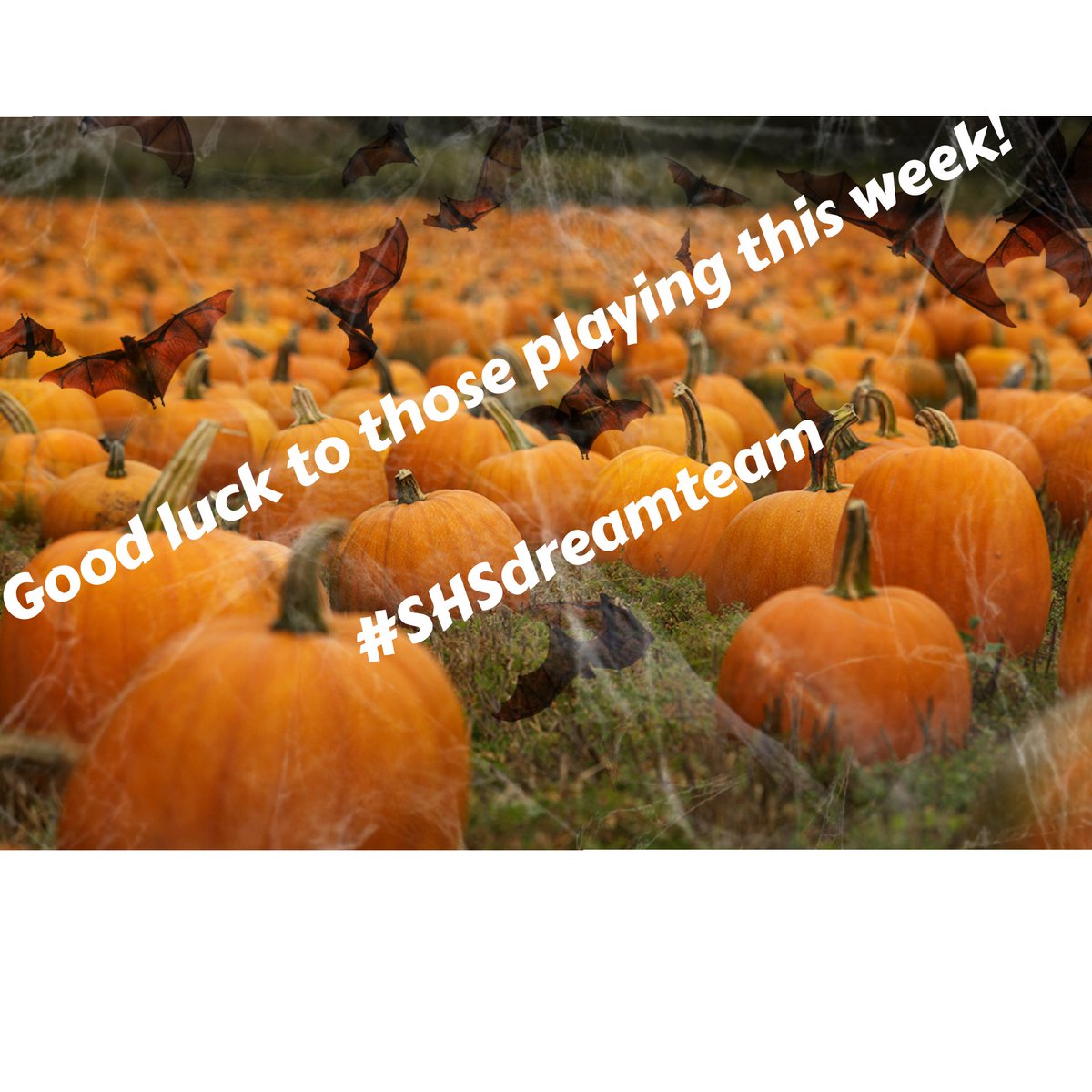 stroudhighpe's tweet image. Good luck to those representing @StroudHigh this week! #termtwo #comeonSHS #thisgirlcan