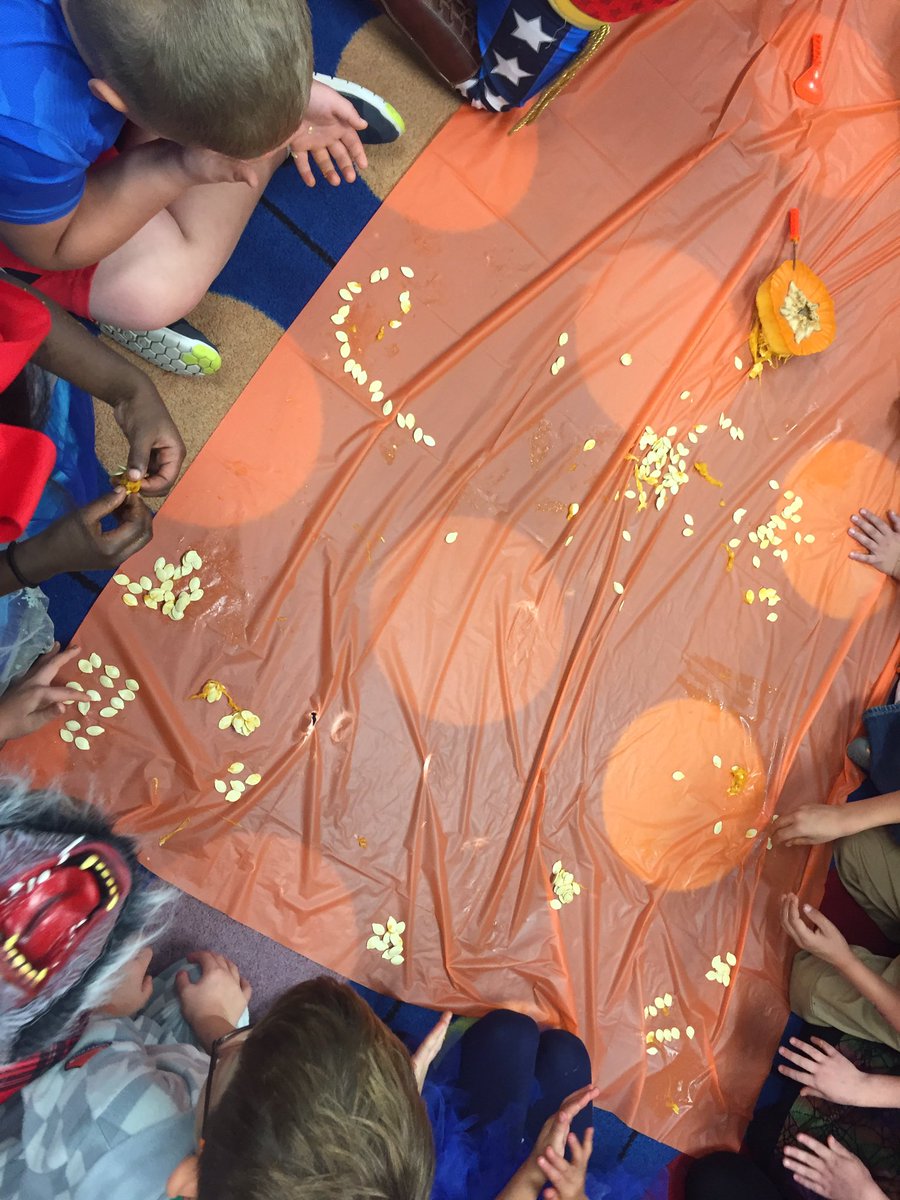 Rebeckahebbe's tweet photo. 2's, 5's, and groups of 10's...how many seeds will there be? @LadybugMills #curtises #whywisd https://t.co/tudsHndv1M