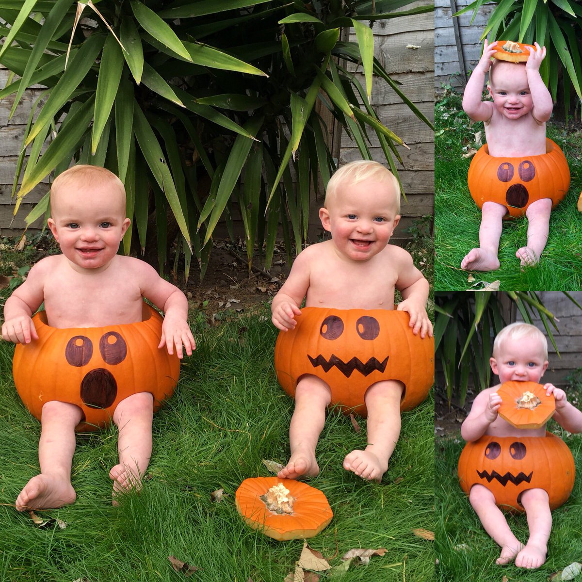 20toesuk's tweet photo. When Mummy said she was buying our #halloween outfits in @sainsburys, this wasn’t exactly what we had in mind... #trickortreat #pumpkinpunks https://t.co/znamyj4V9U