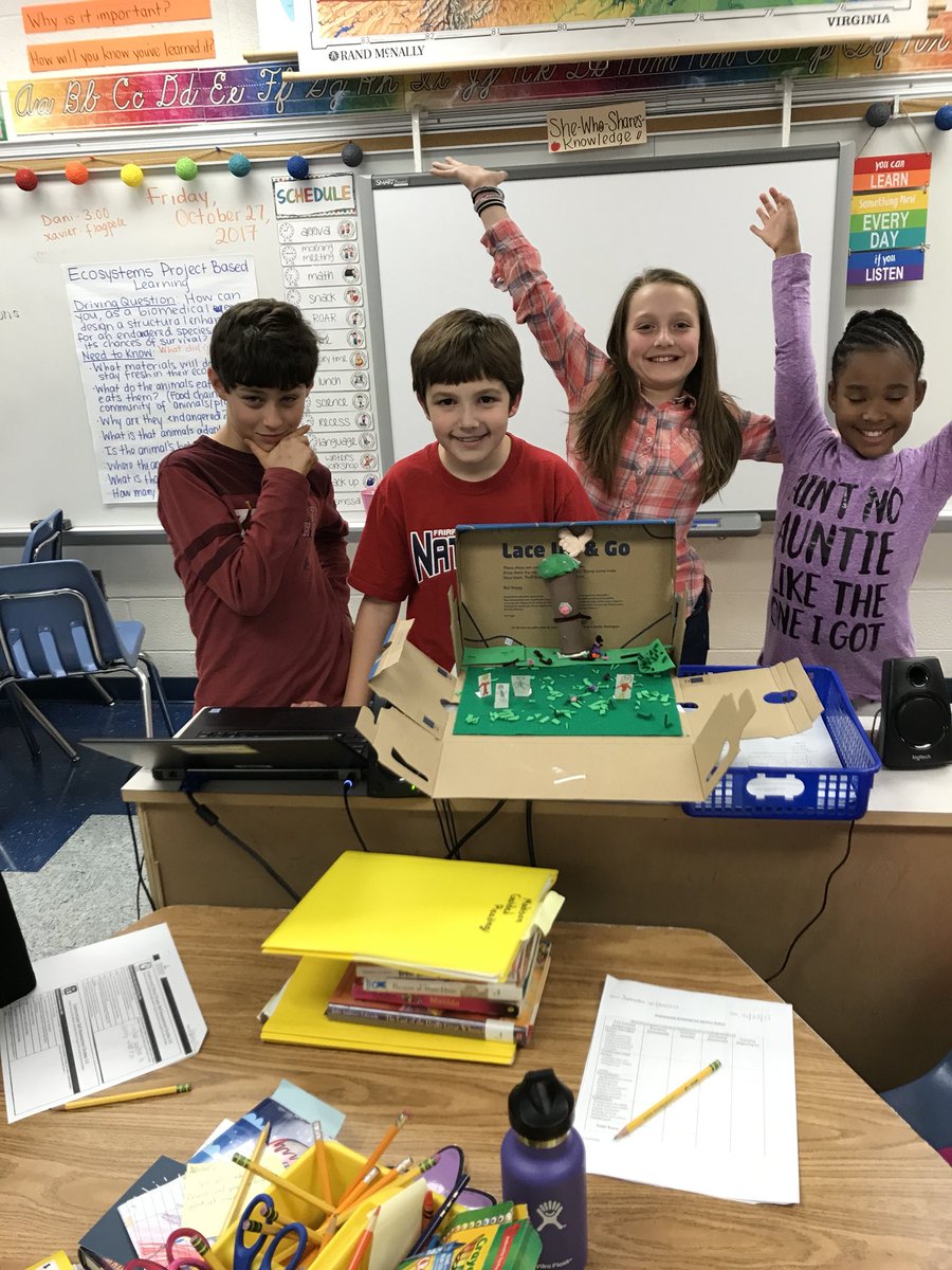 MrsToland251's tweet photo. #TeachLRES #PBL #Iteach4th #seaturtles #foxsquirrel #biomedicalengineers #structuraladaptations https://t.co/wHWqNkzzpj