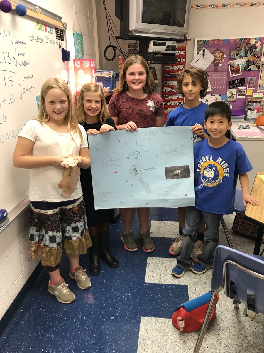 MrsToland251's tweet photo. #TeachLRES #PBL #Iteach4th #seaturtles #foxsquirrel #biomedicalengineers #structuraladaptations https://t.co/wHWqNkzzpj