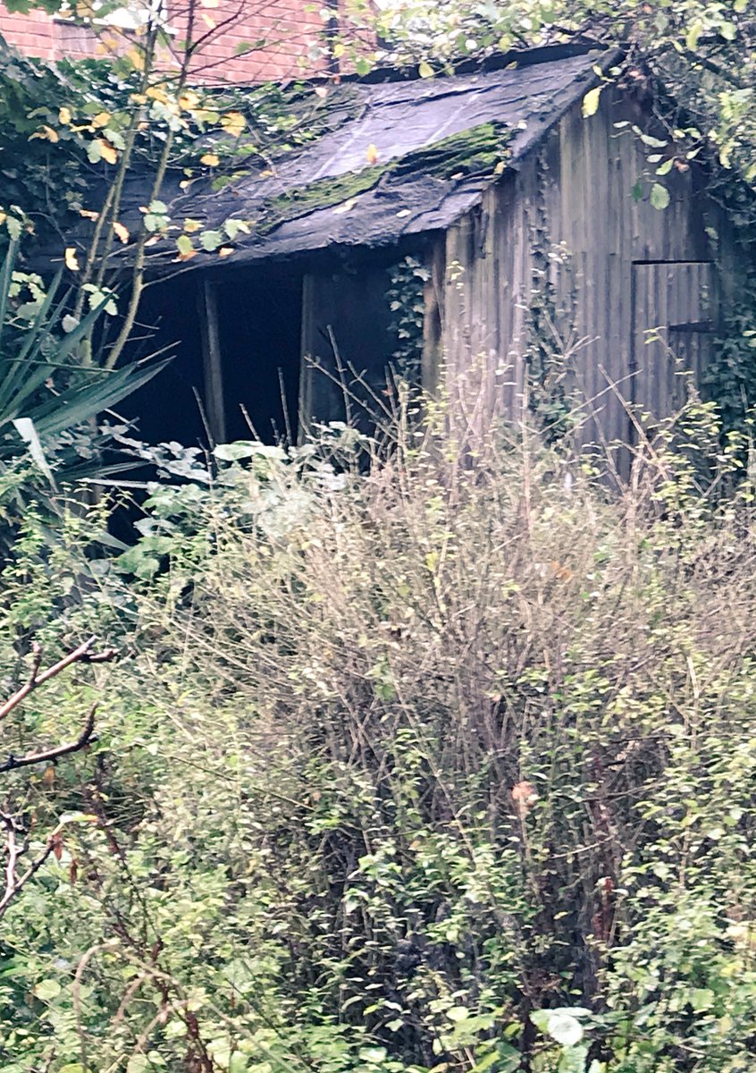 ARGgardendesign's tweet photo. Urban neglect   #RHSPhotoComp https://t.co/jss3JhTm5X