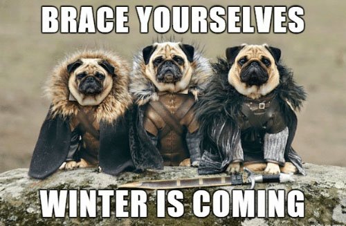 Talk about a treat, we now have markdowns up to 70% off! Treat your self for Halloween (candy-less style) and brace yourself this season! 🏂