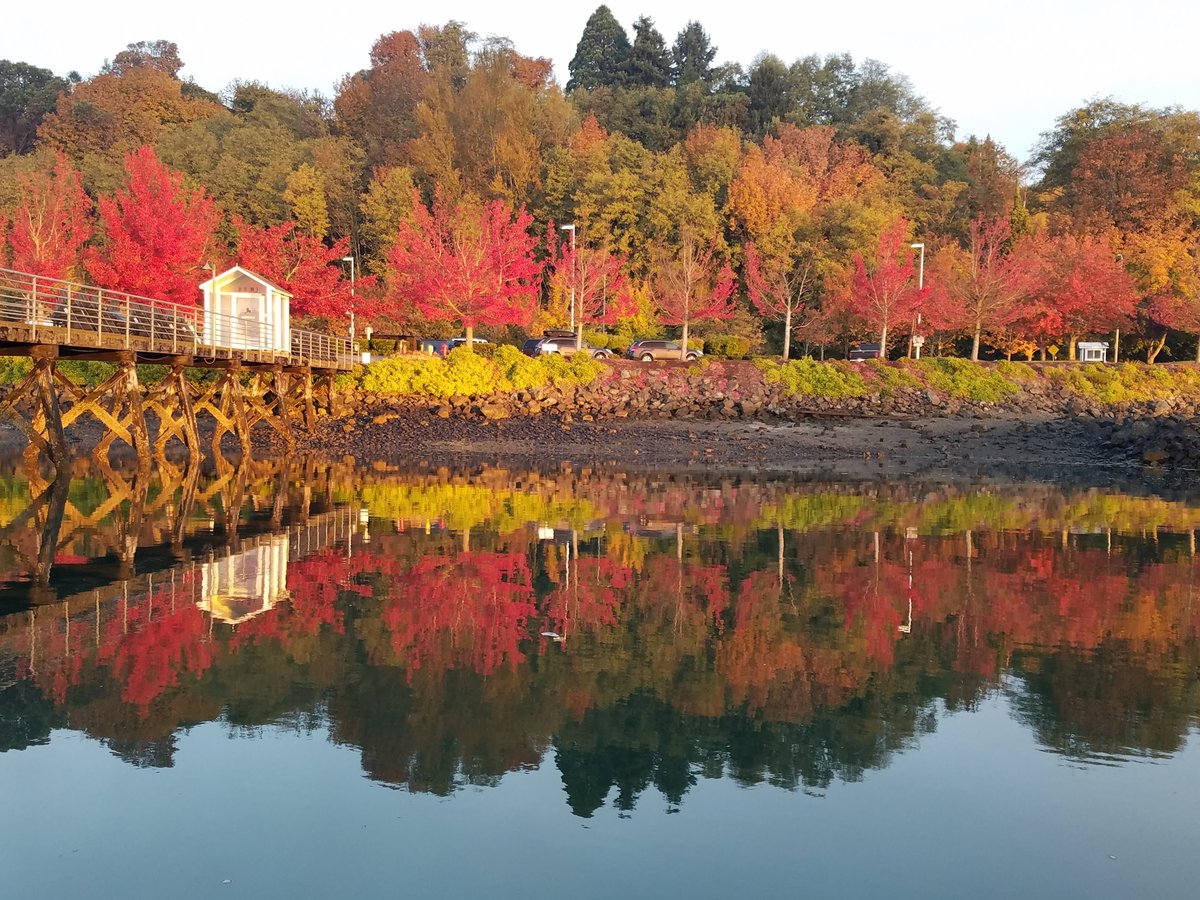 allyr2's tweet photo. New Blog Post! Fall boating in the PNW https://t.co/m1ZG56Q3hz #pnwboater #boatingjourney #boatingblogs https://t.co/GLnMzQxtUT