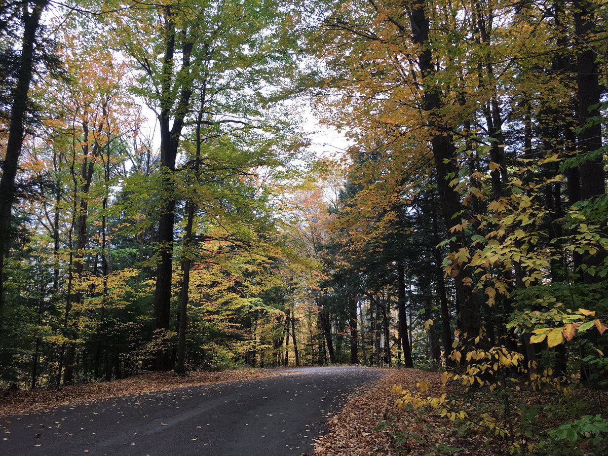 BrownArielle's tweet photo. Chestnut Ridge, lower loop. #fallforECparks @ErieCountyParks https://t.co/saL3dIuJ9E