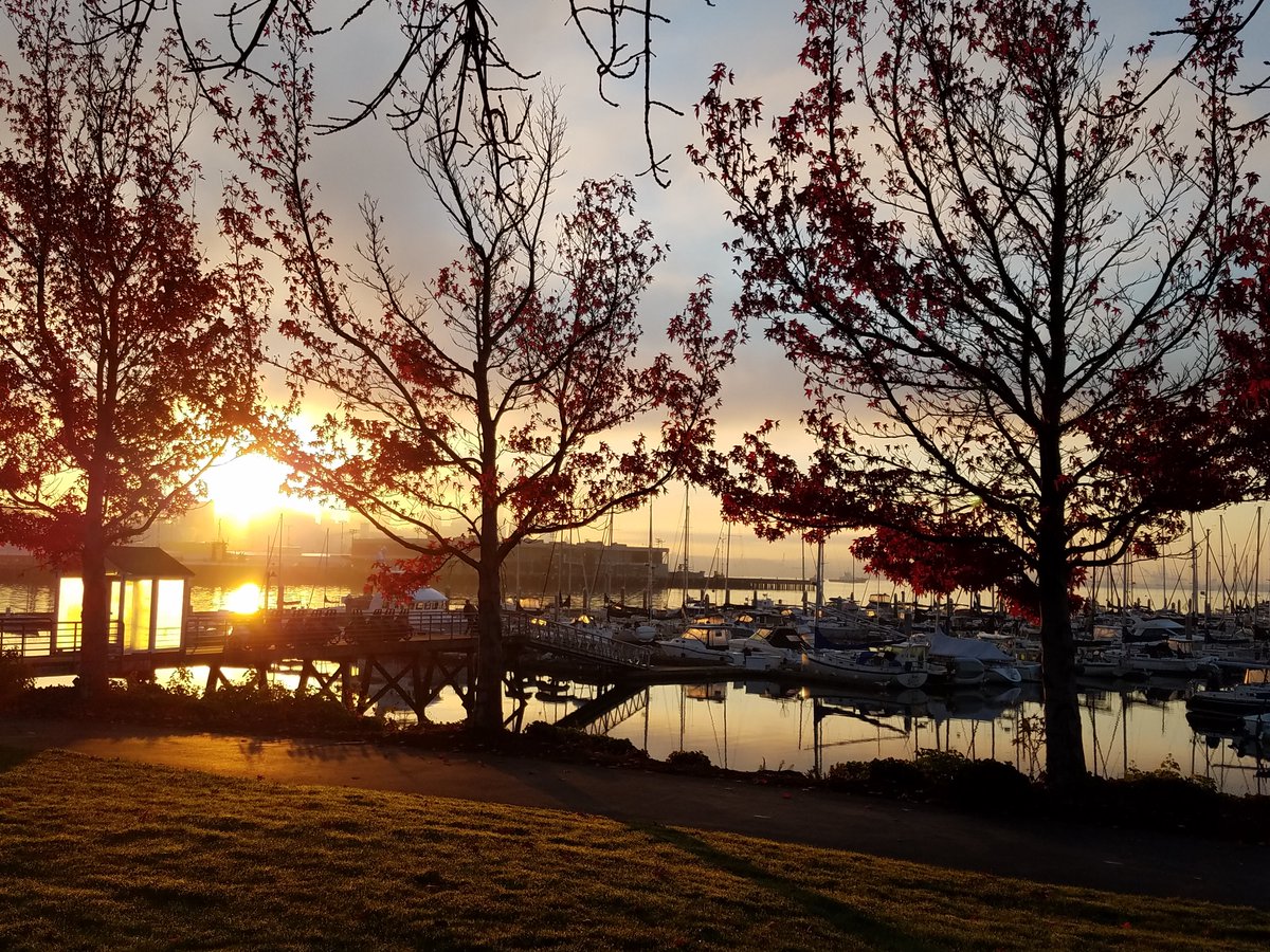BoatingJourney's tweet photo. New Blog Post! Fall boating in the PNW https://t.co/JwGgZBrZIS  #pnwboater #boatingjourney #boatingblogs https://t.co/cfaO1Jjtc5
