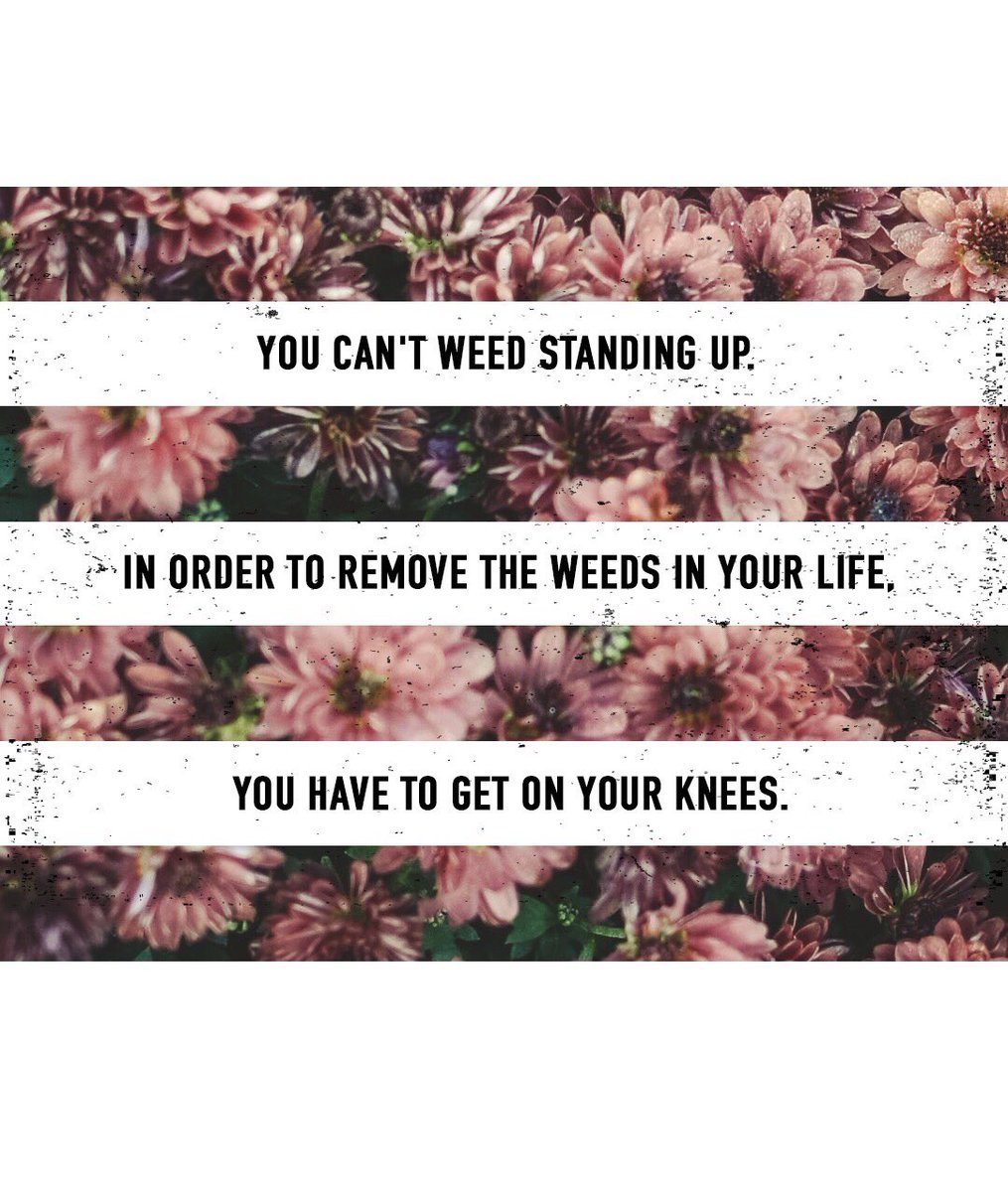 levilusko's tweet photo. To remove the weeds in your life, you have to get on your knees. https://t.co/gQ2LBNTsco