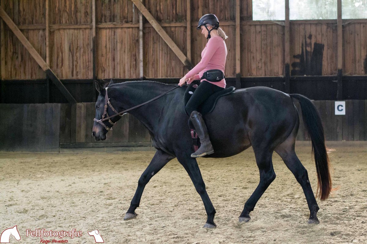 ❤ Babybauchschaukeln. 🦄