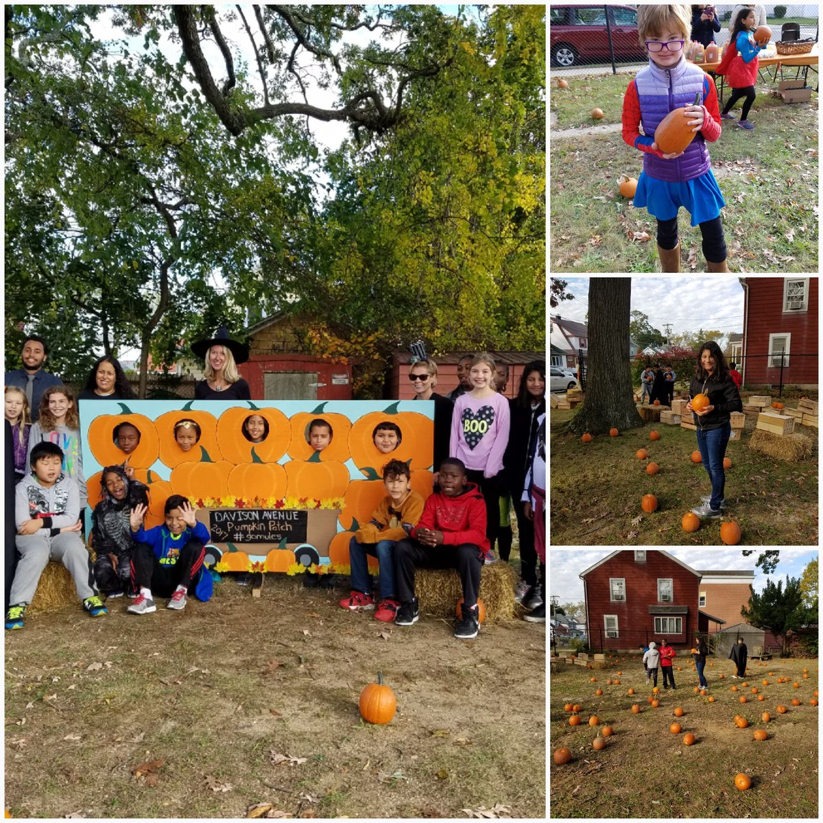 Norma Carbone tweet media