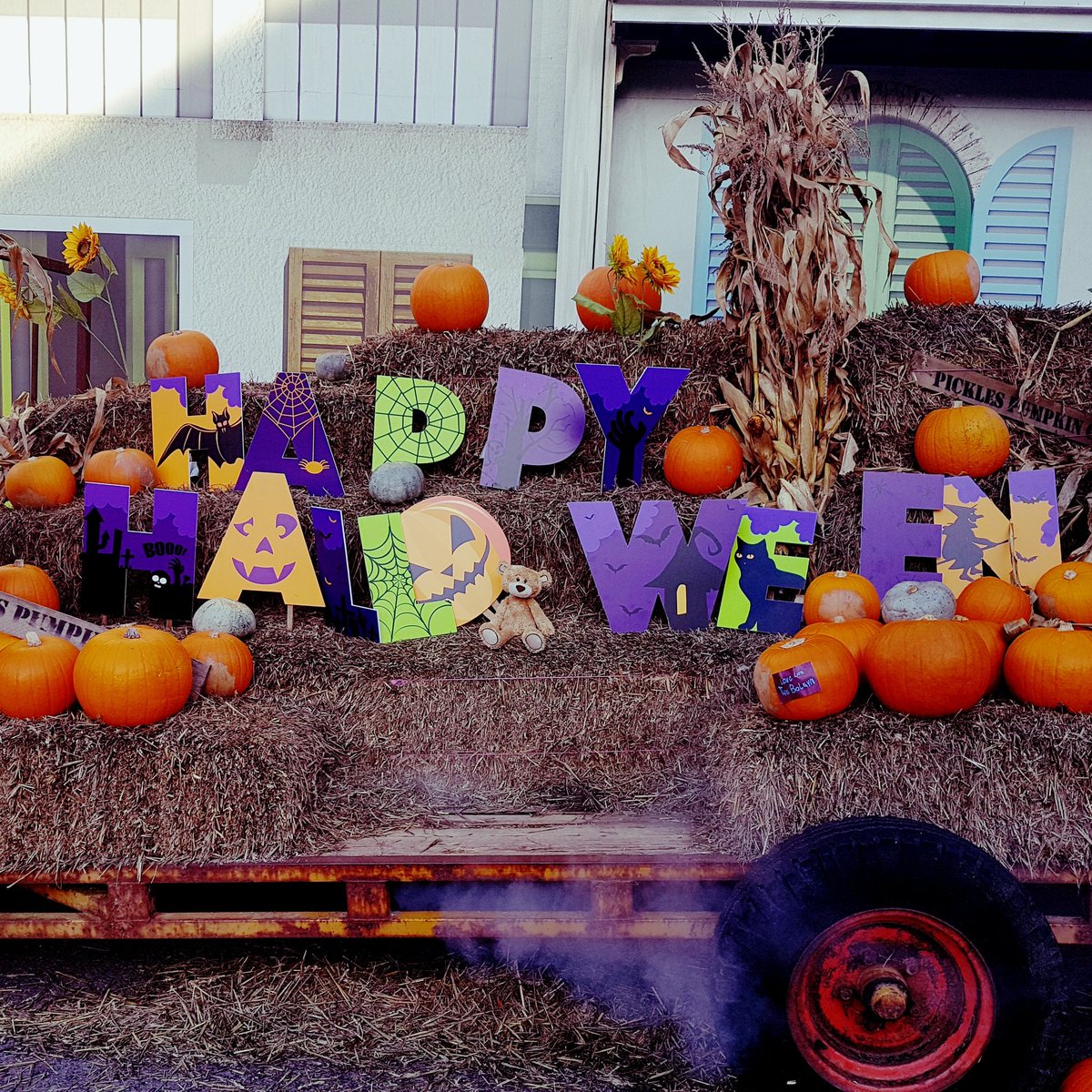 Happy Halloween! #holibobbear #halloween #happyhalloween #trickortreat #familyfun