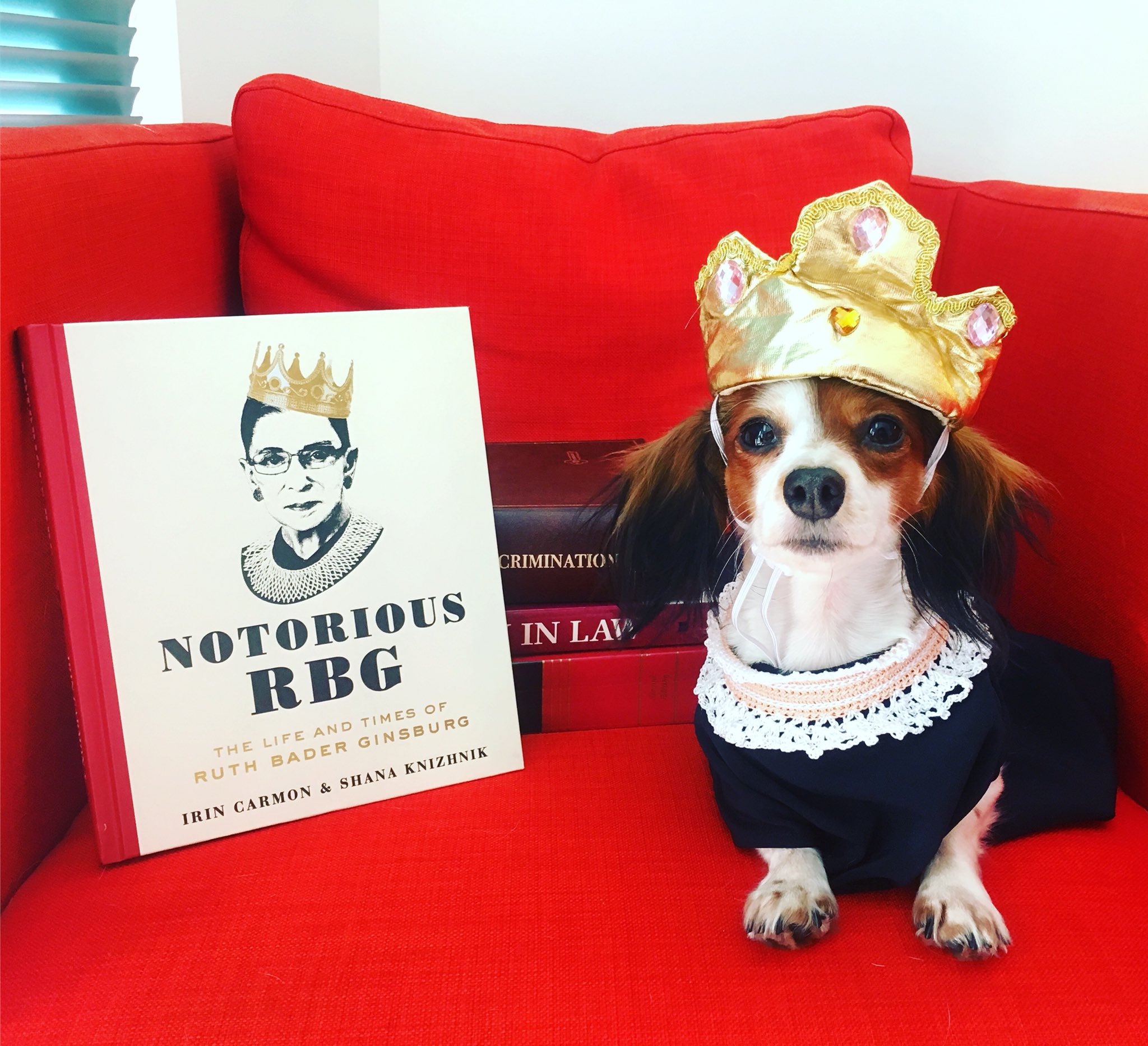 Rbg costume deals