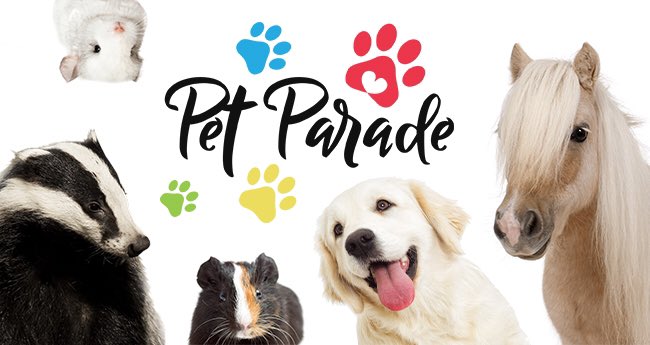 Don't miss the pet parade starting at noon Nov 25th at Global Pet Foods KW!