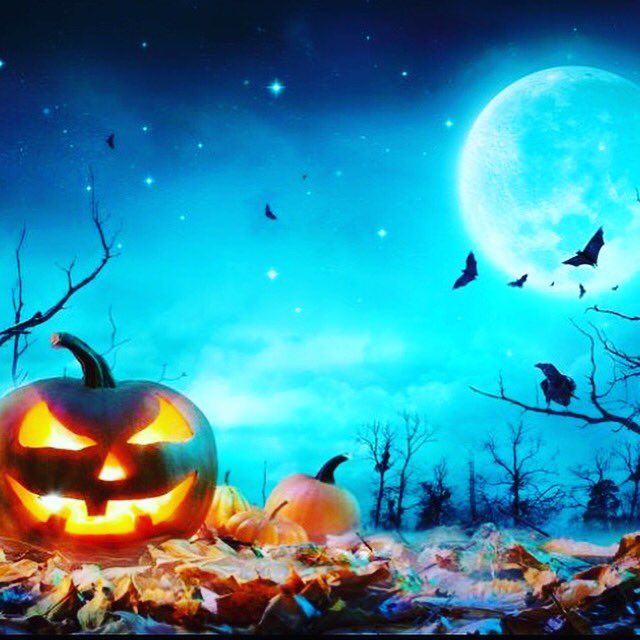 🎃🎃🎃 Happy Halloween 👻 Mit dem Gutscheincode: NEW20
erhaltet ihr bis zum 7.12.2017 20% Rabatt auf ALLES 🎃🎃🎃🎃#halloween