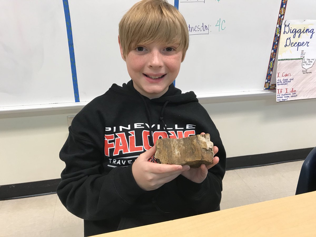 N8IVEQC's tweet image. Geology Rocks...@StallingsES Career Day! #sciencerules @UCPS_MonroeNC #fossils #petrifiedwood #belemnite