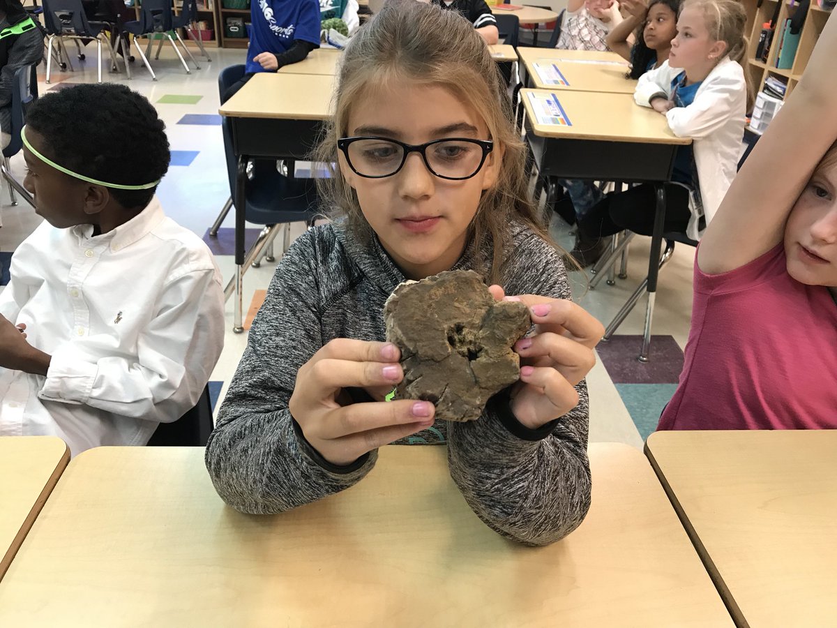 N8IVEQC's tweet image. Geology Rocks...@StallingsES Career Day! #sciencerules @UCPS_MonroeNC #fossils #petrifiedwood #belemnite