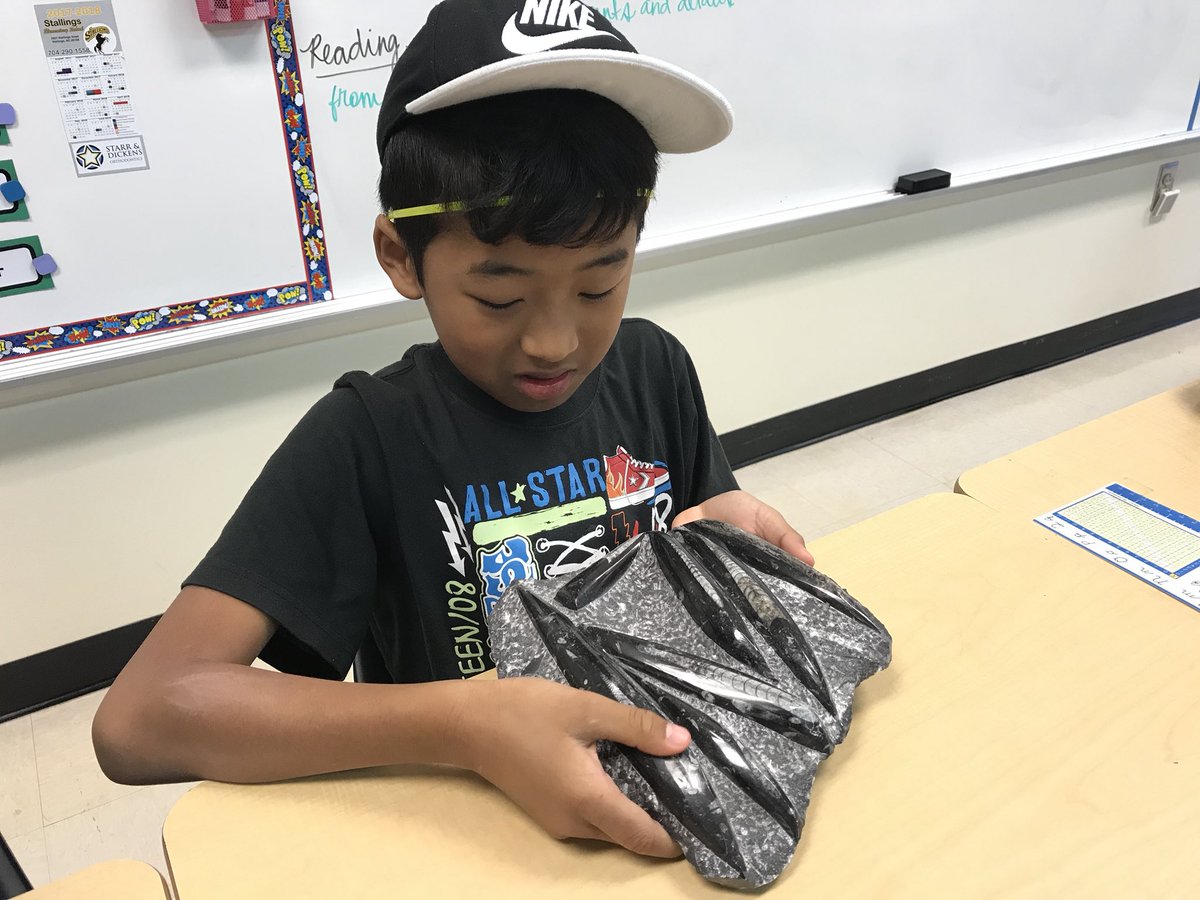 N8IVEQC's tweet image. Geology Rocks...@StallingsES Career Day! #sciencerules @UCPS_MonroeNC #fossils #petrifiedwood #belemnite