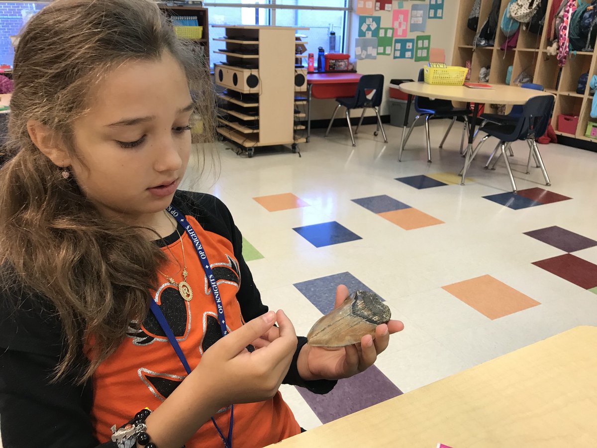 N8IVEQC's tweet image. Geology Rocks...@StallingsES Career Day! #sciencerules @UCPS_MonroeNC #fossils #petrifiedwood #belemnite
